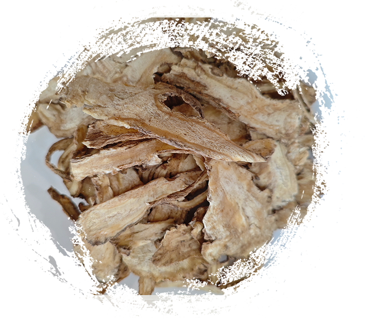 中草藥為何如此有效？其功效解析