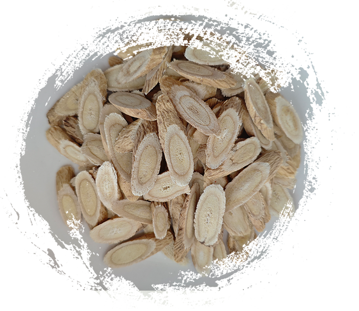 了解植物中醫：藥草及其傳統用途