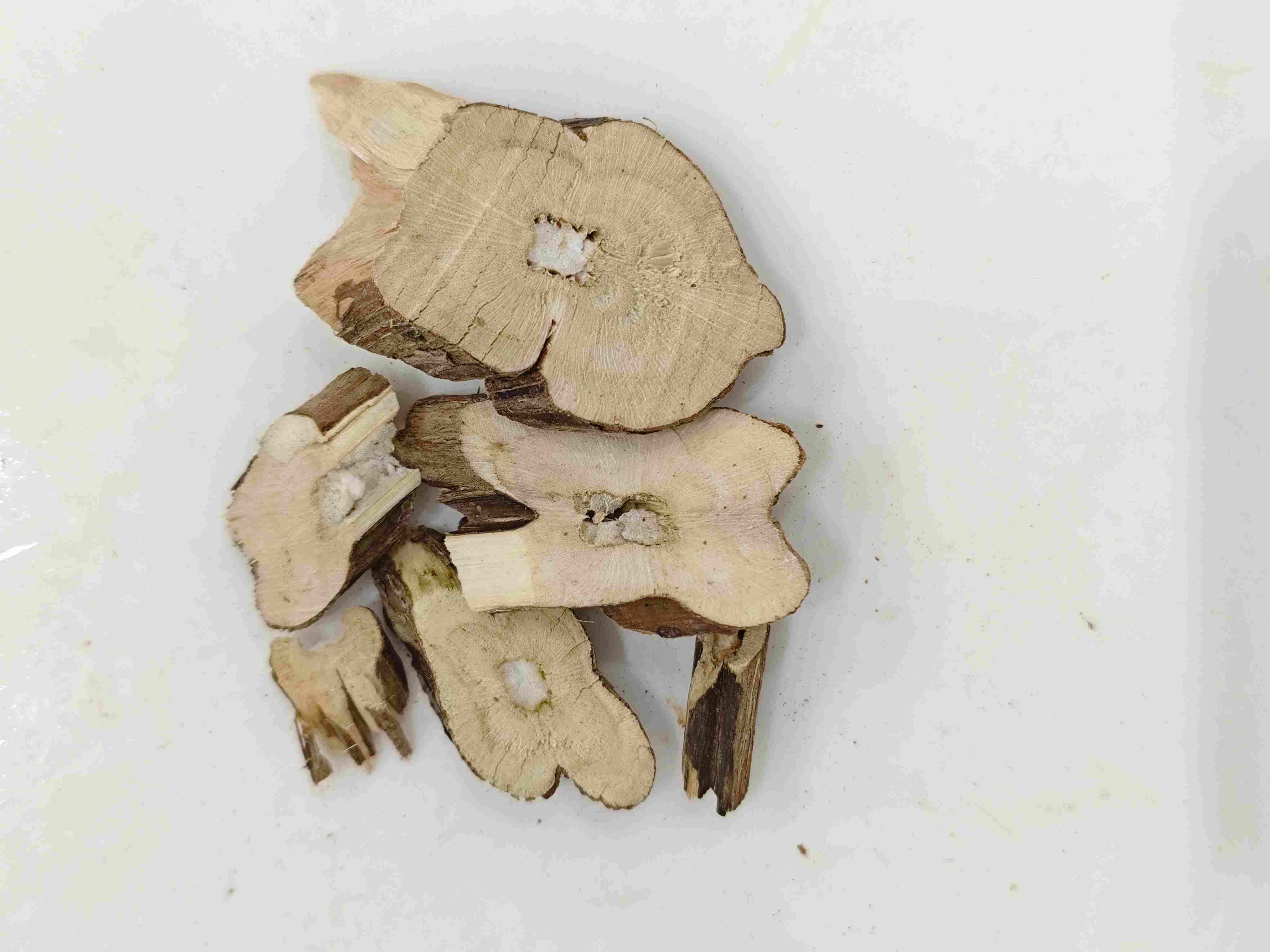 紫蘇梗（Zisugeng）