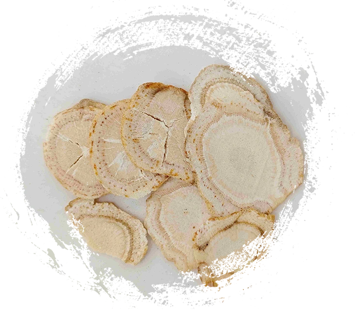 利用植物中藥探索傳統中藥的力量