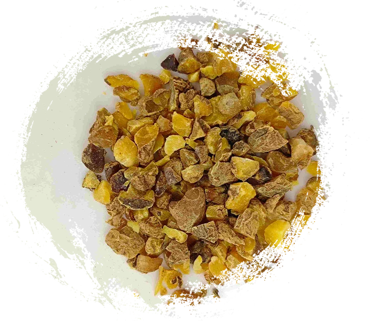 延胡索（Yanhusuo）