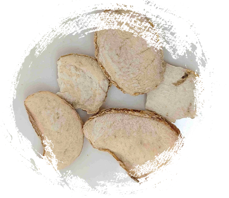 浙貝母（Zhebeimu）