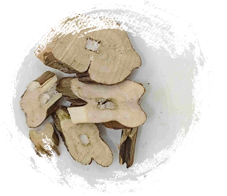 紫蘇梗（Zisugeng）