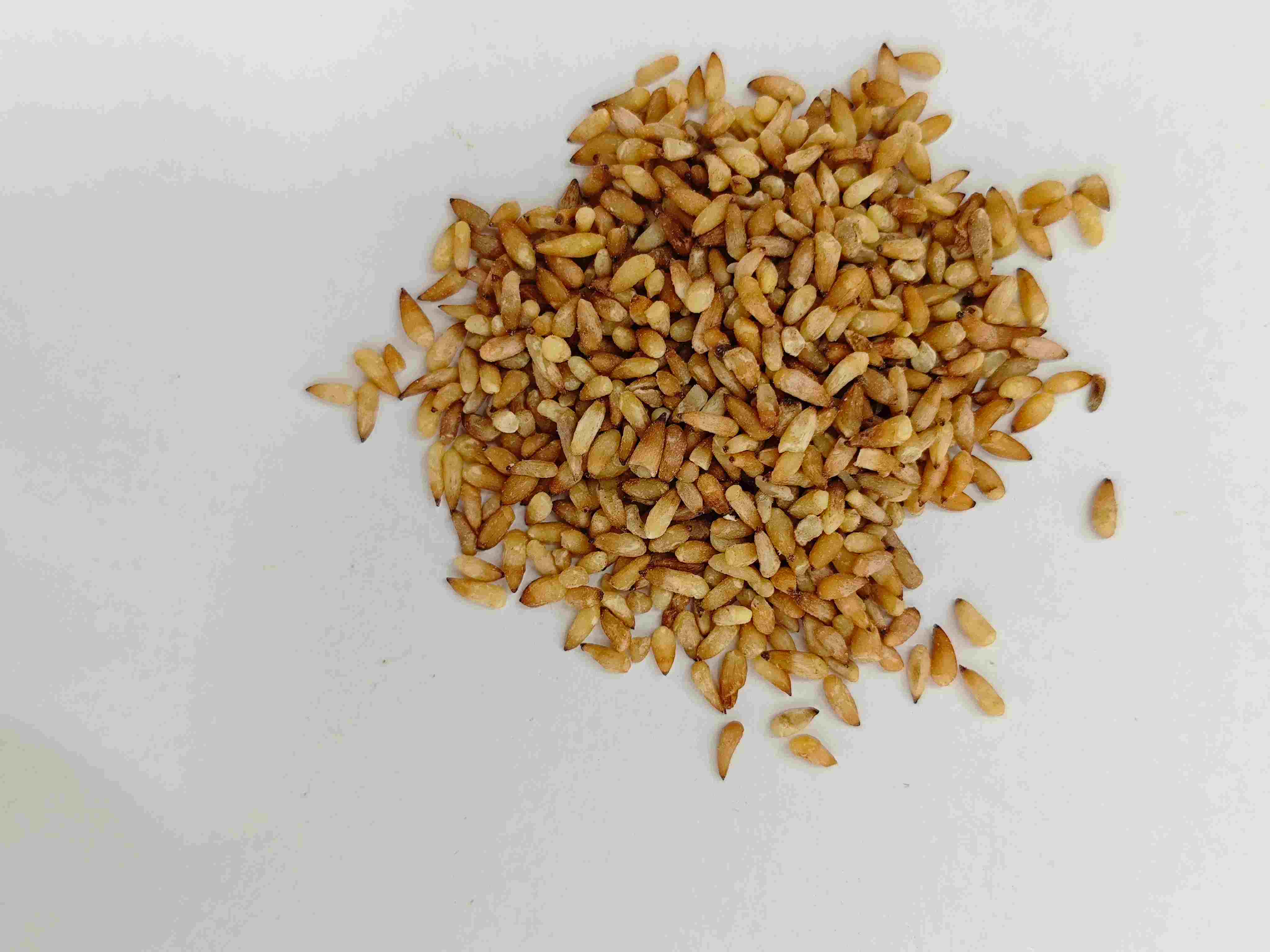 柏子仁（bǎizǐr&eacute;n）