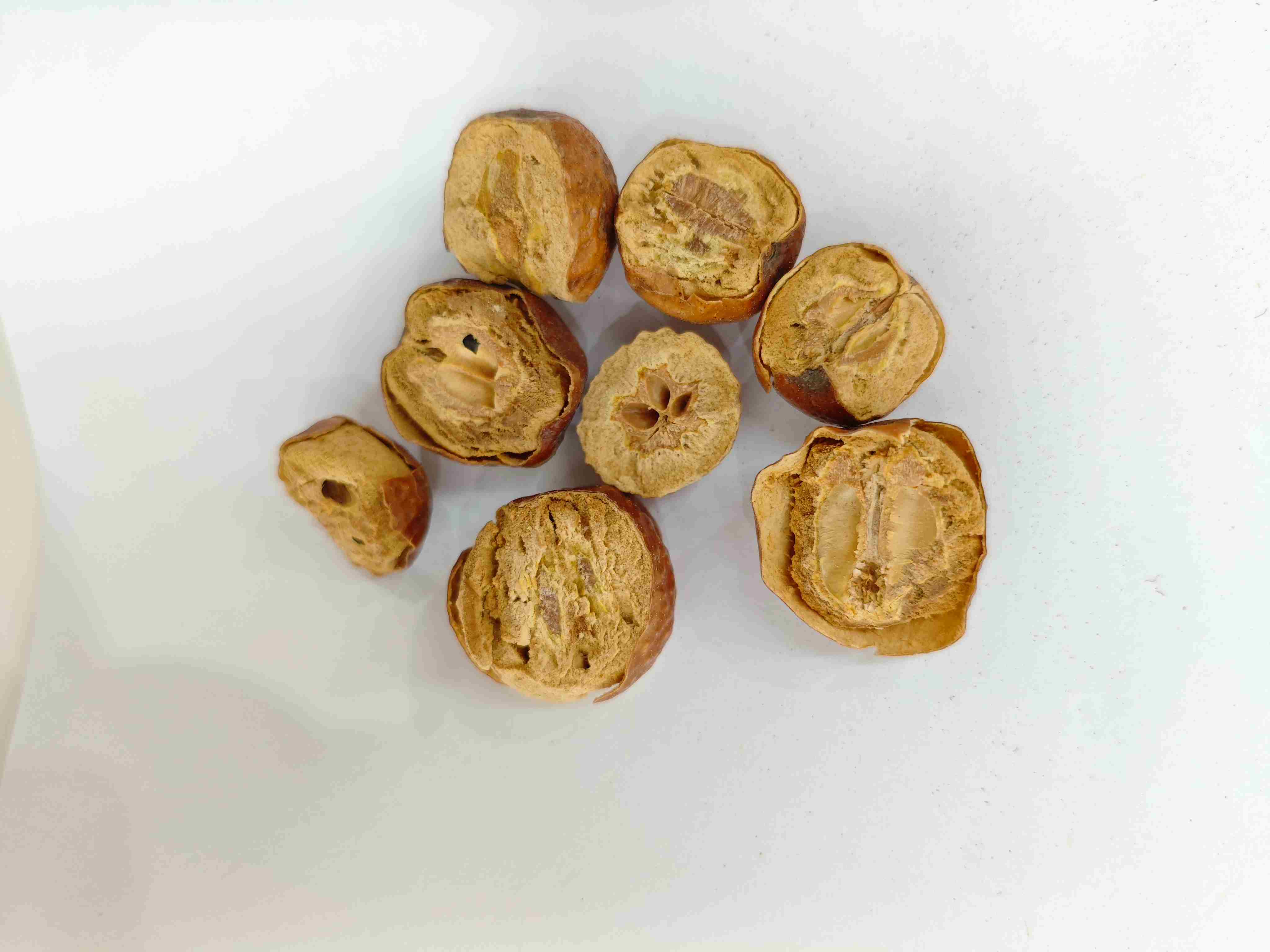 川楝子（ChuānLi&aacute;nZǐ）