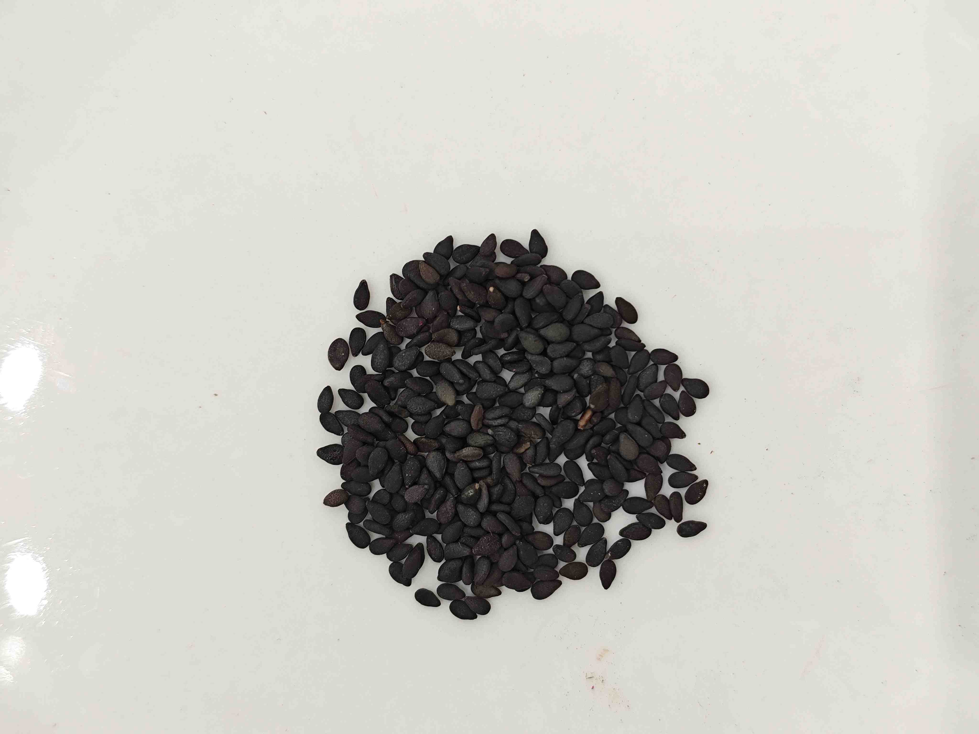 黑芝麻（hēizhīm&aacute;）