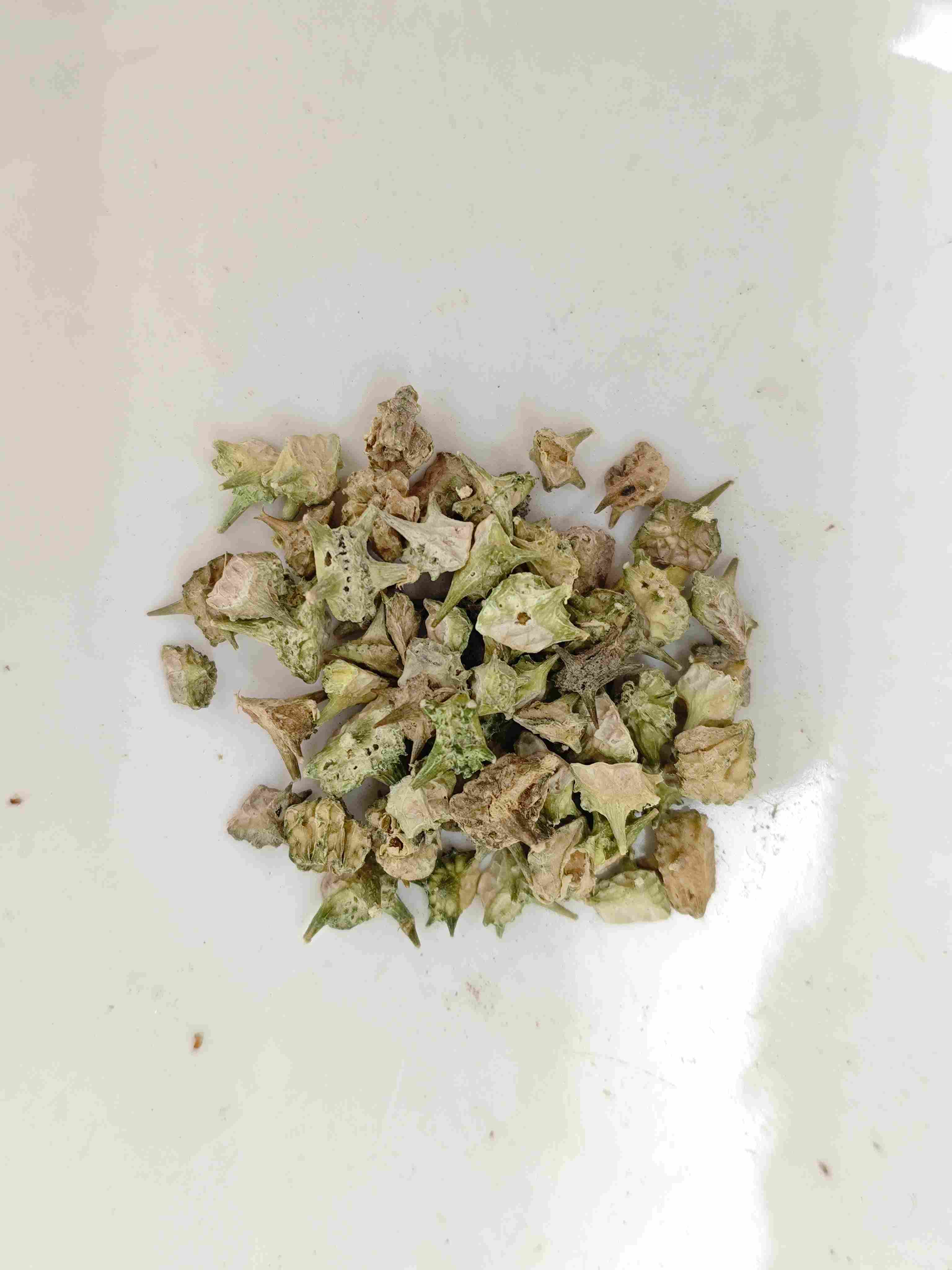 蒺藜（J&iacute;l&iacute;）