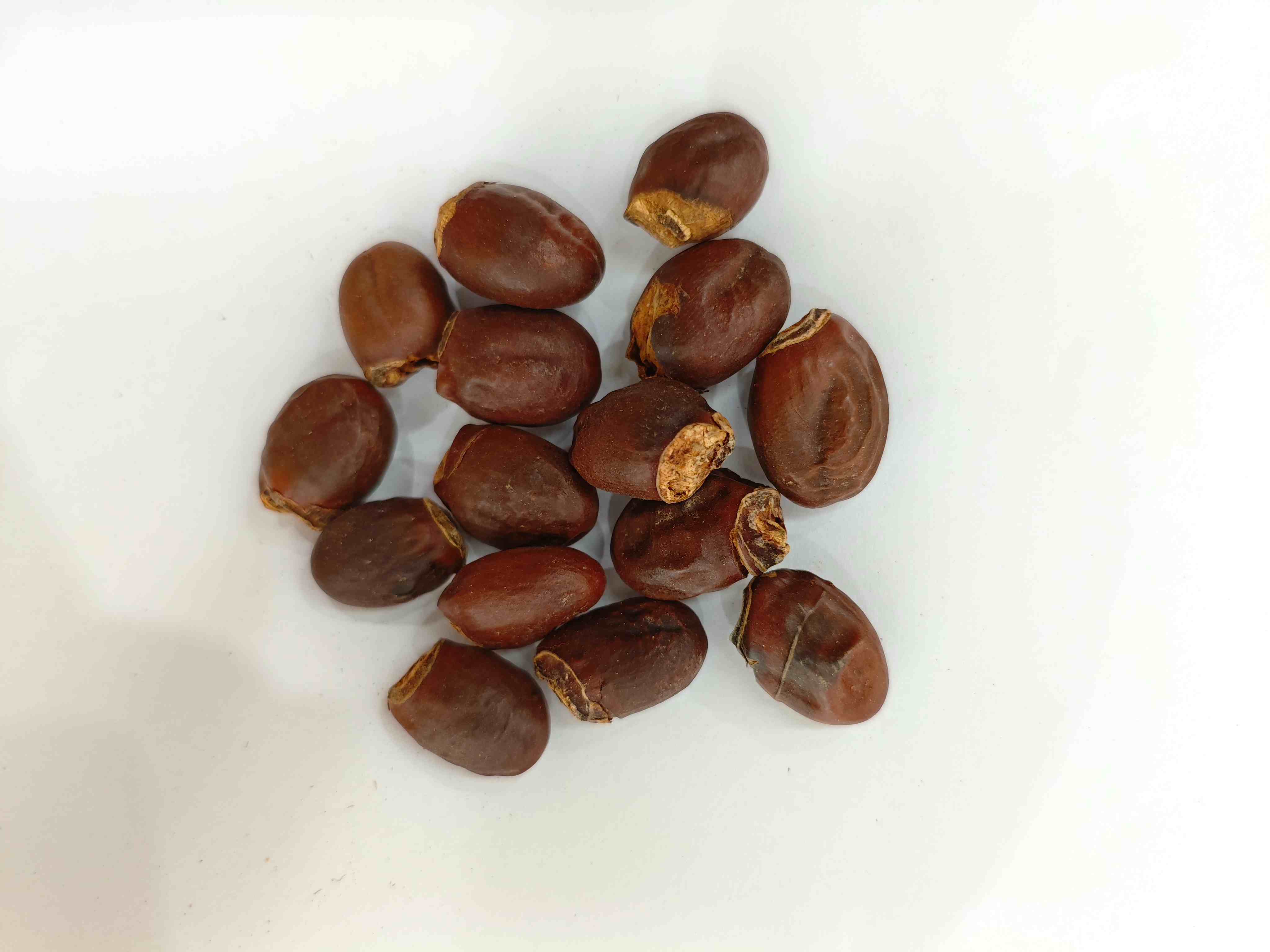 荔枝核（L&igrave;zhīH&eacute;）