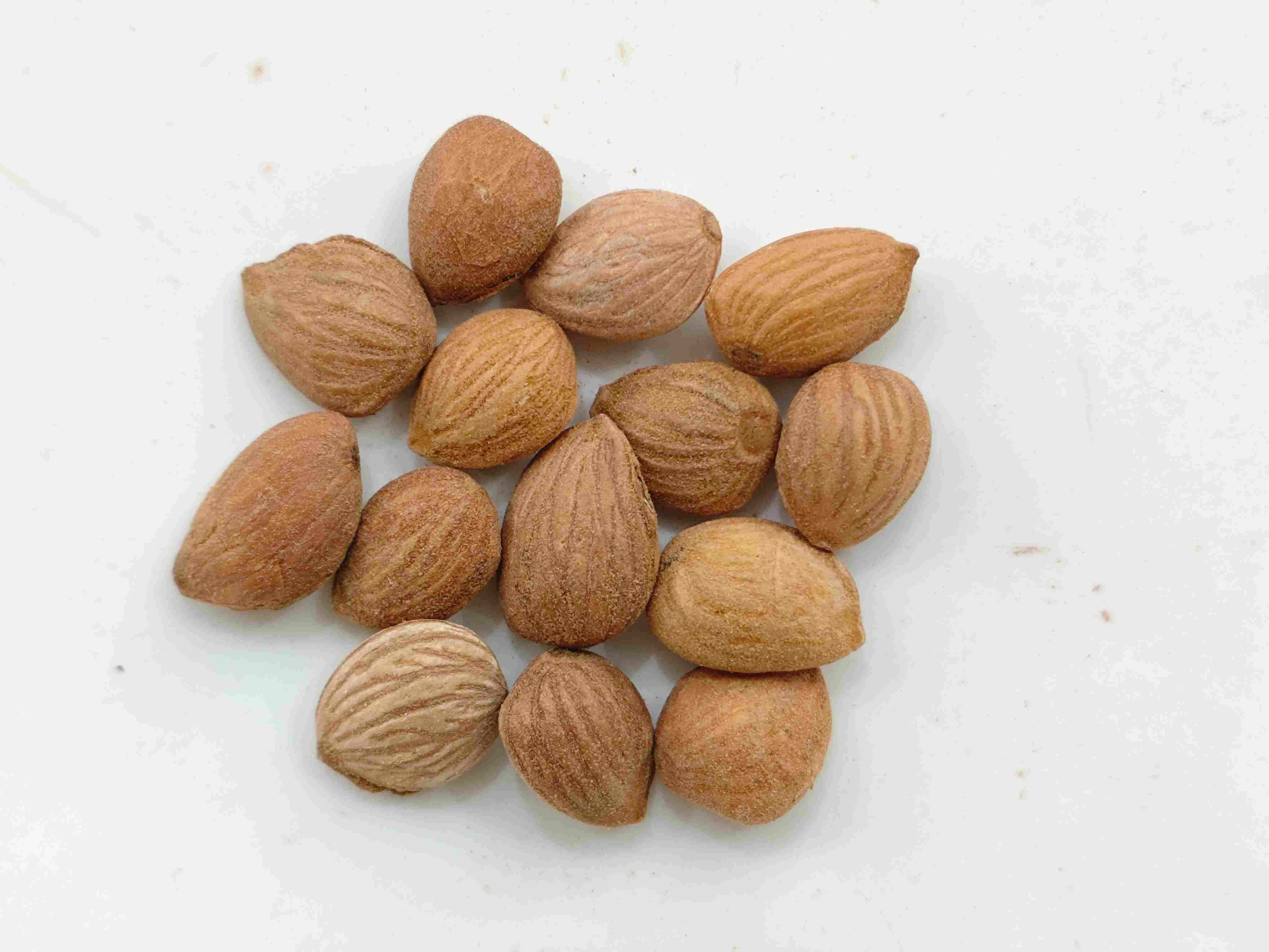 桃仁（T&aacute;or&eacute;n）