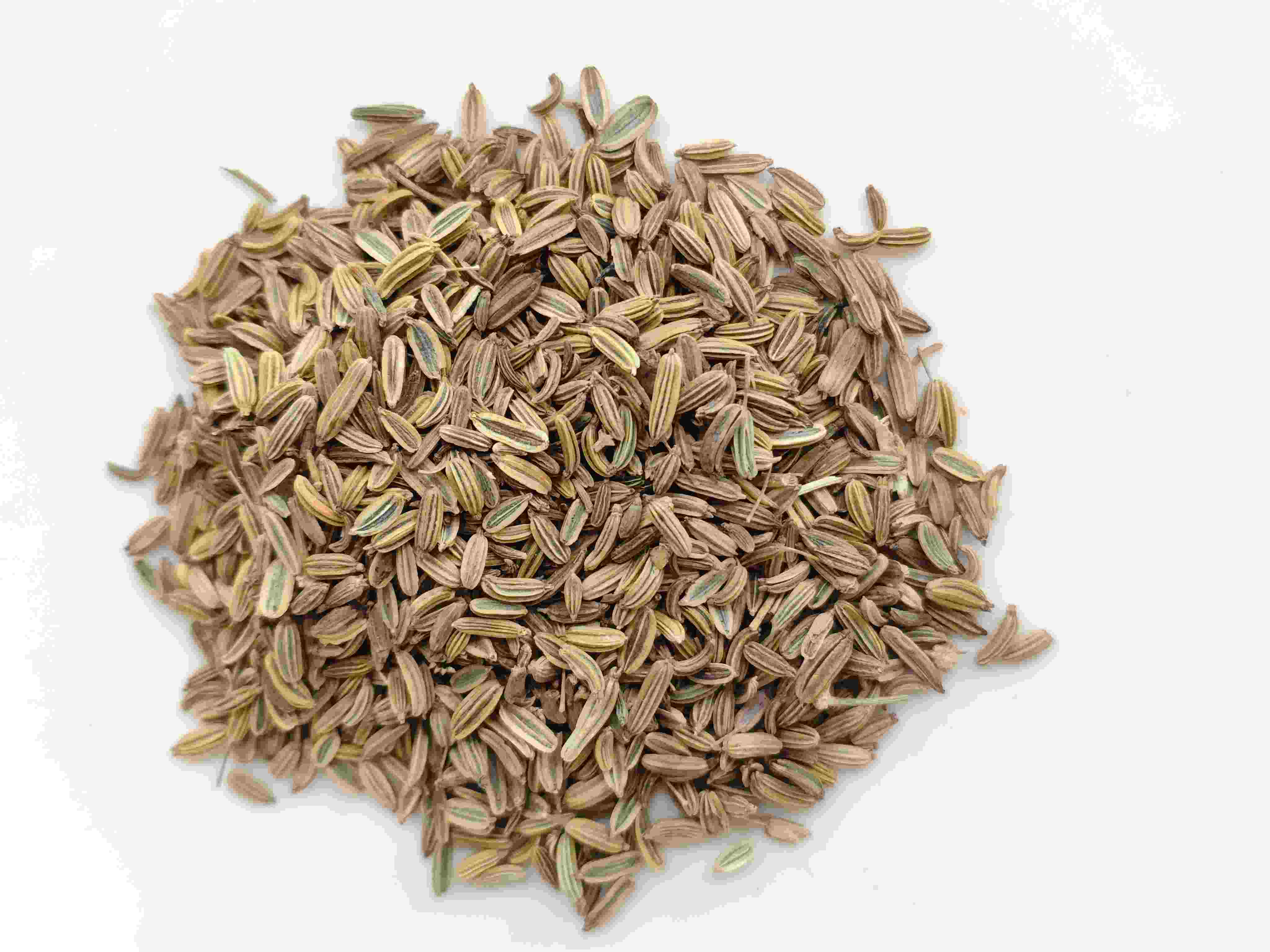 小茴香（xiǎohu&iacute;xiāng）