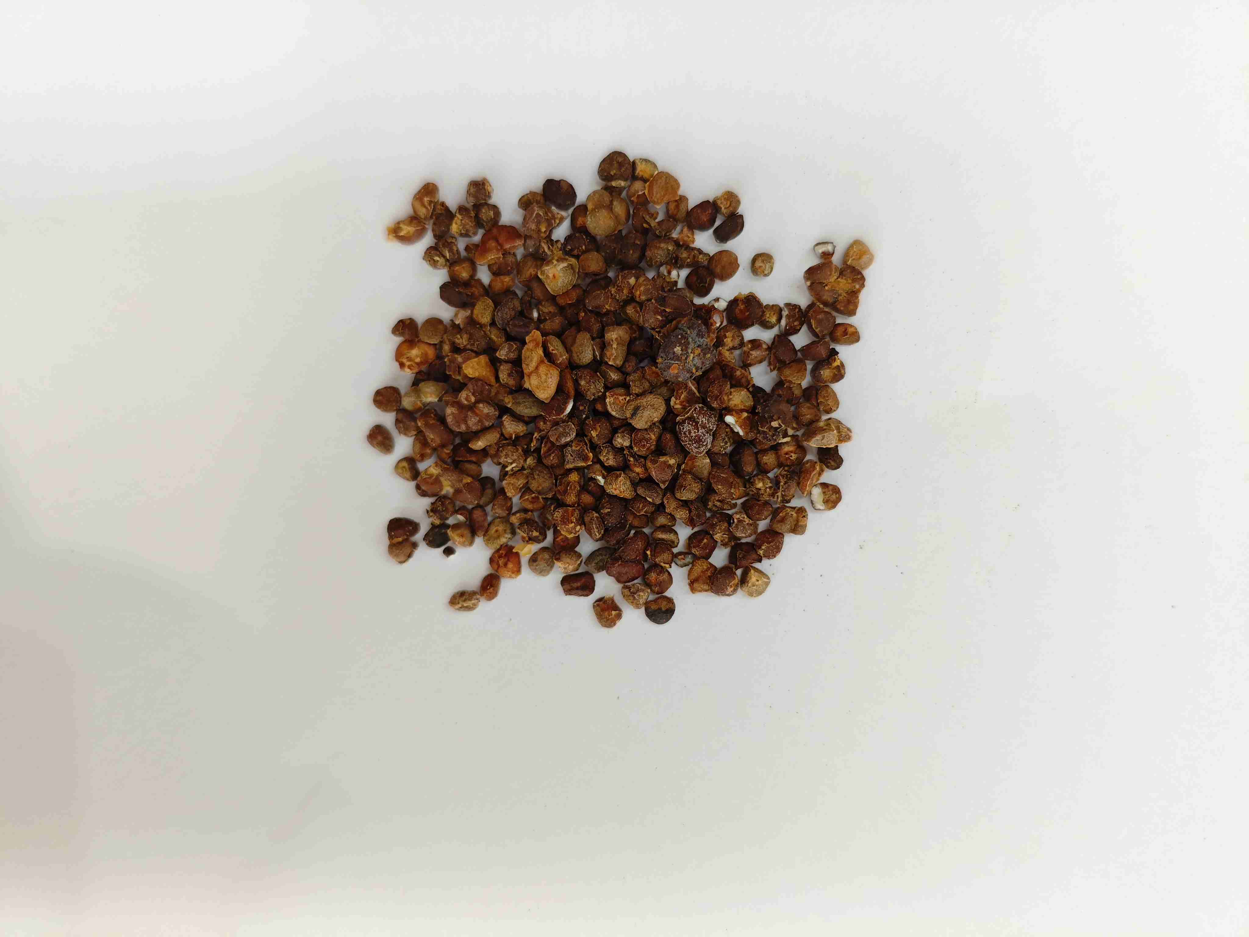 益智（y&igrave;zh&igrave;）