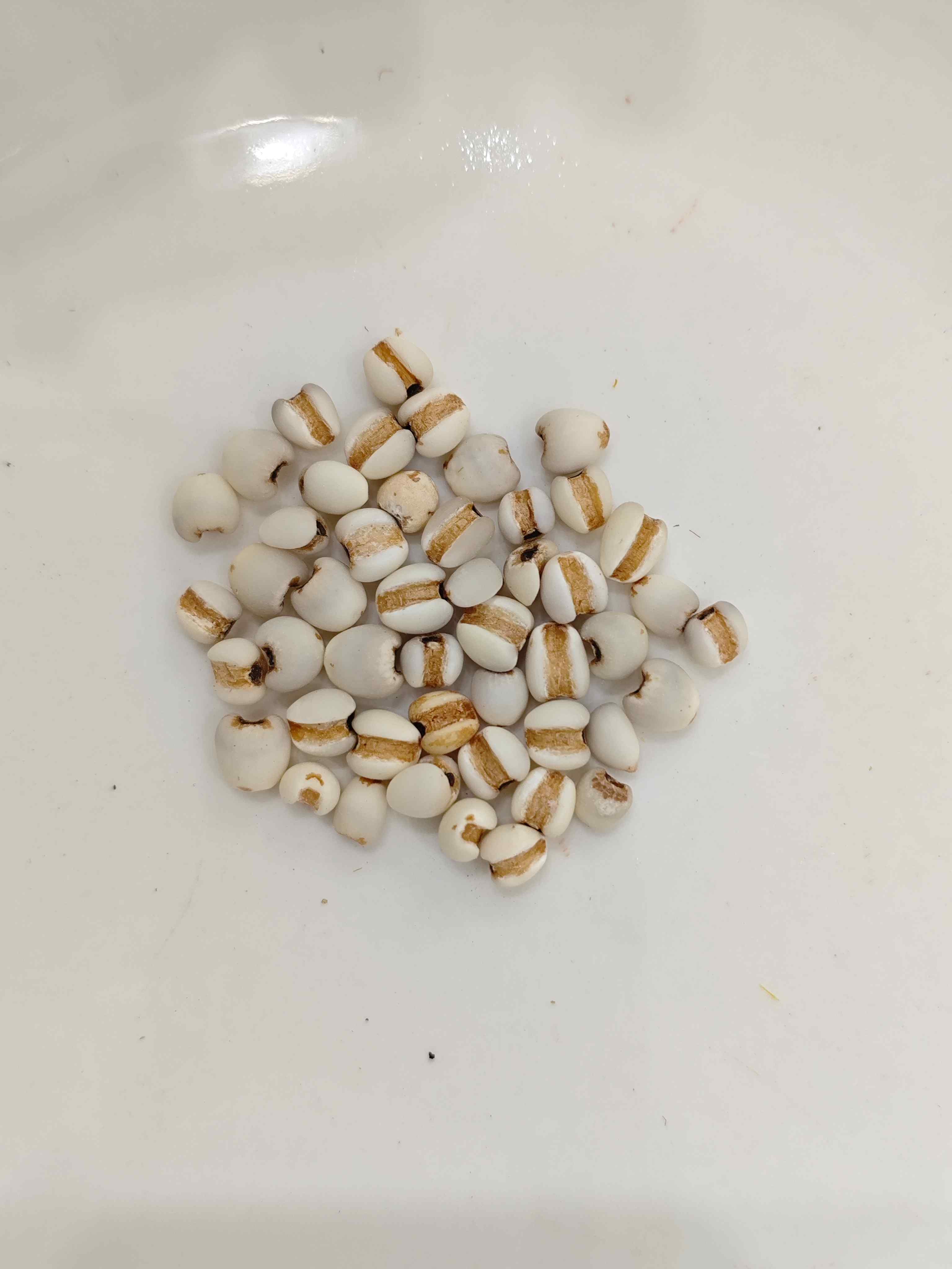 薏苡仁（y&igrave;yǐr&eacute;n）