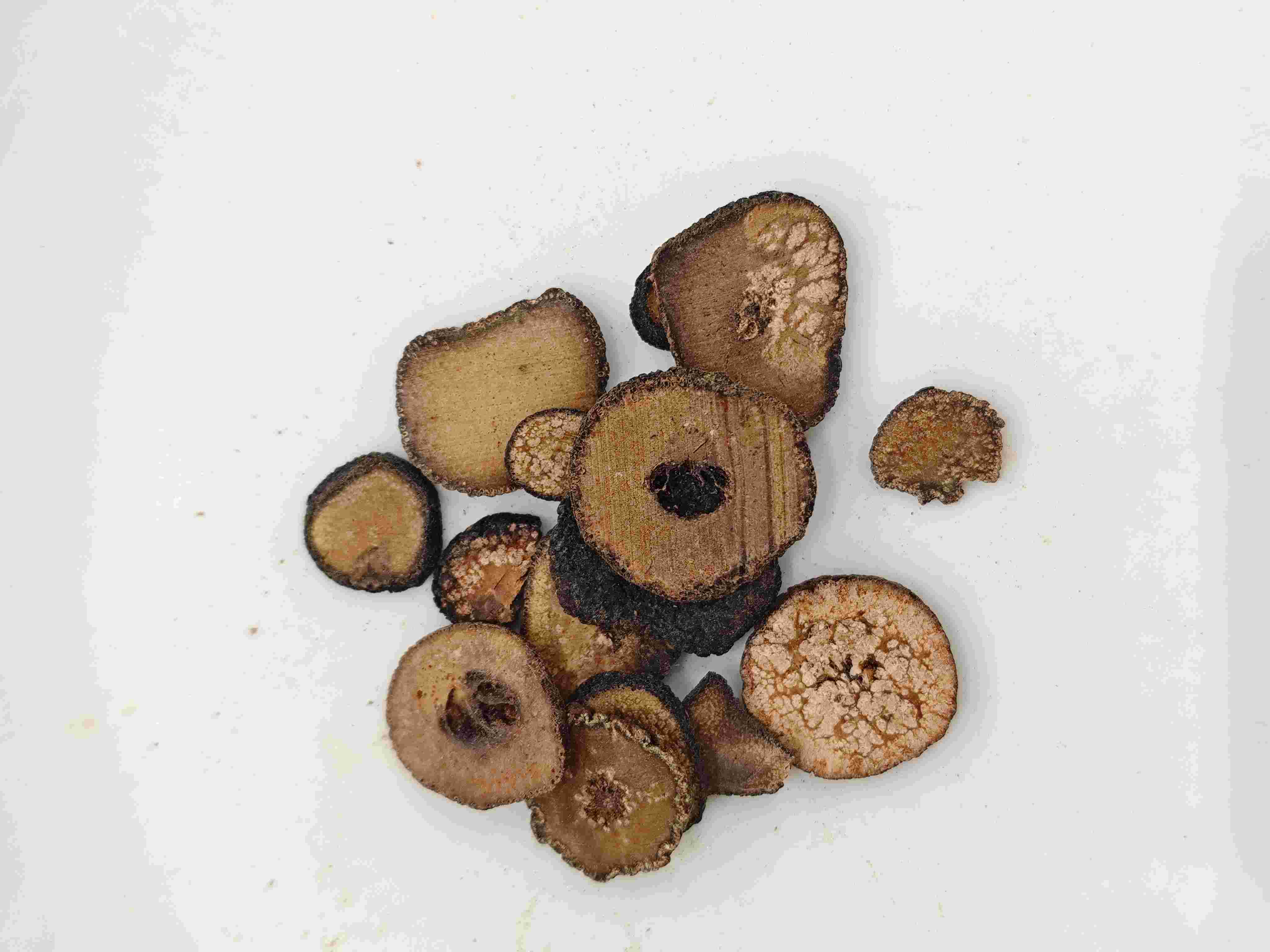 枳實（Zhǐsh&iacute;）