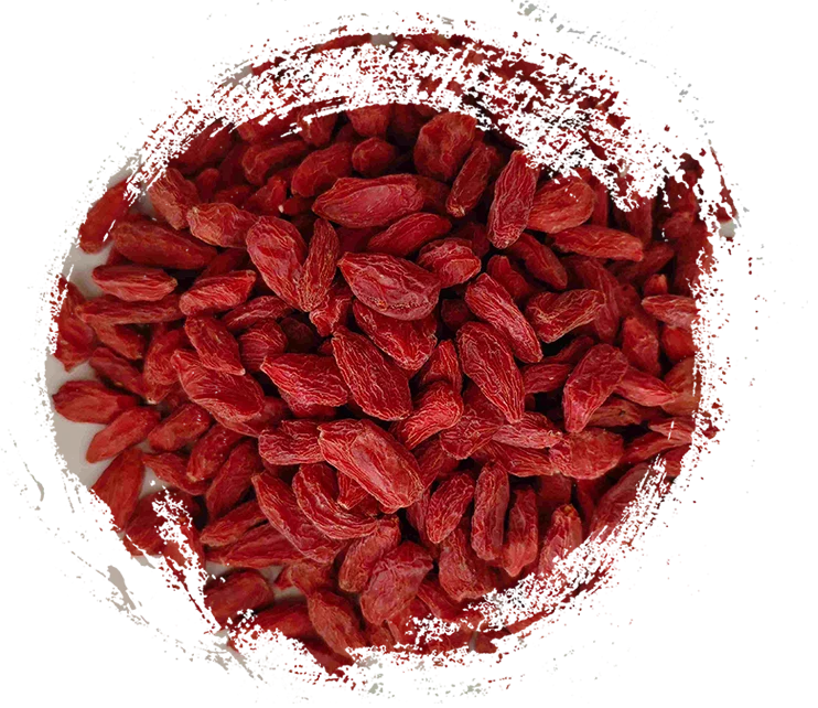 常用中草藥及其功效：日常健康的天然解決方案