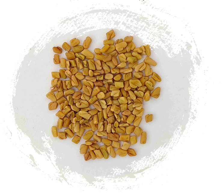 葫蘆巴（Húlúbā）