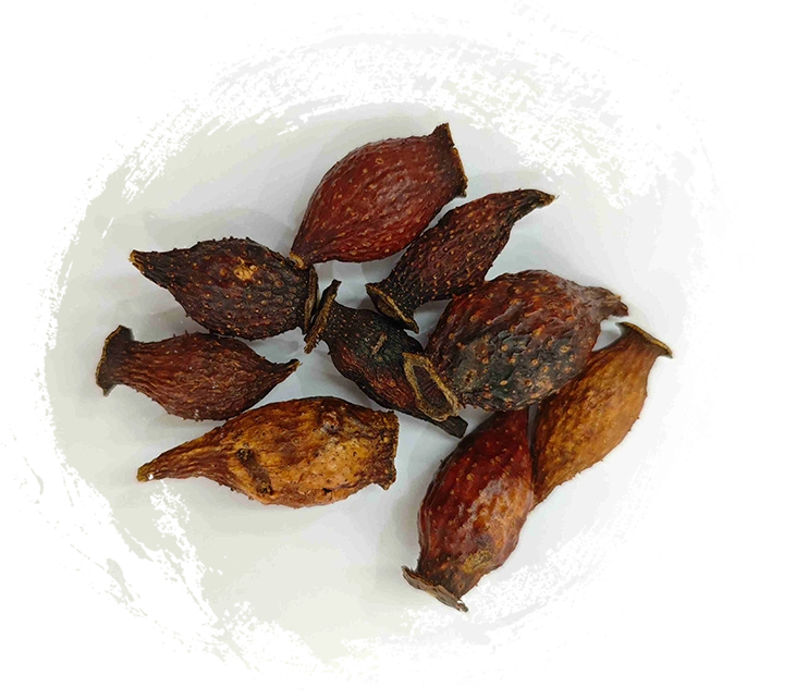 金櫻子（jīnyīngzǐ）