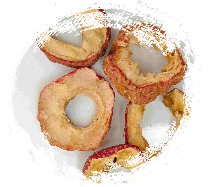 了解中藥在中醫中的功能