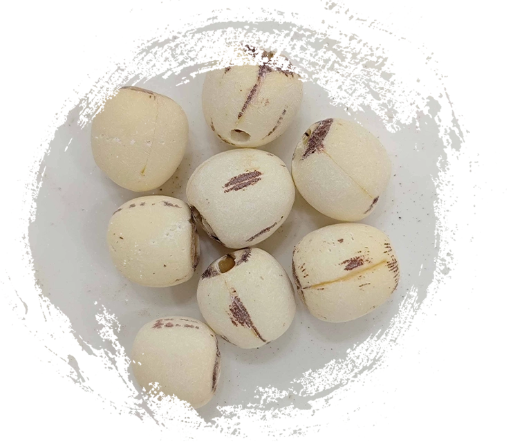 蓮子（liánzǐ）