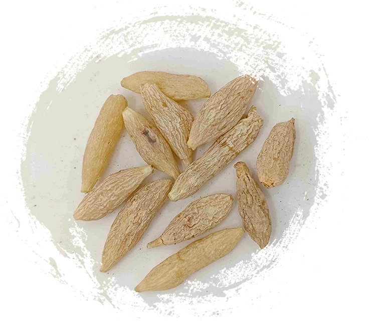 麥冬（Màidōng）