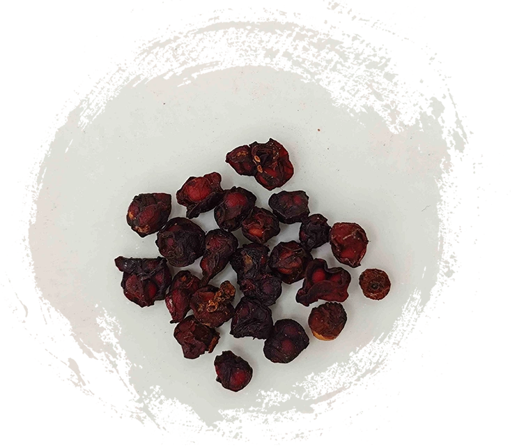 五味子（WǔWèizǐ）：