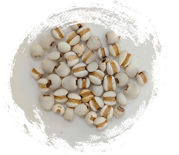 薏苡仁（yìyǐrén）