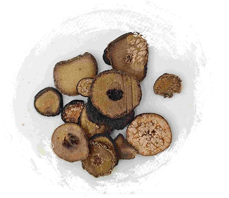 枳實（Zhǐshí）