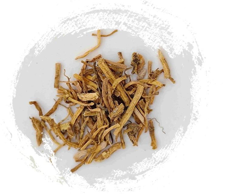 龍膽（lóngdǎn）