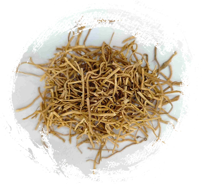 徐長卿（XúChángQīng）