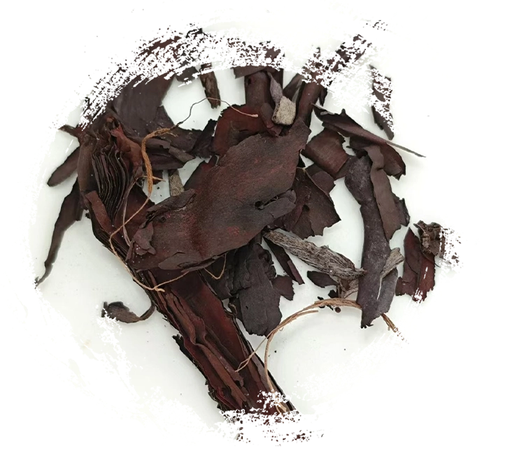 中藥如何發揮作用：原理、機制與實際應用