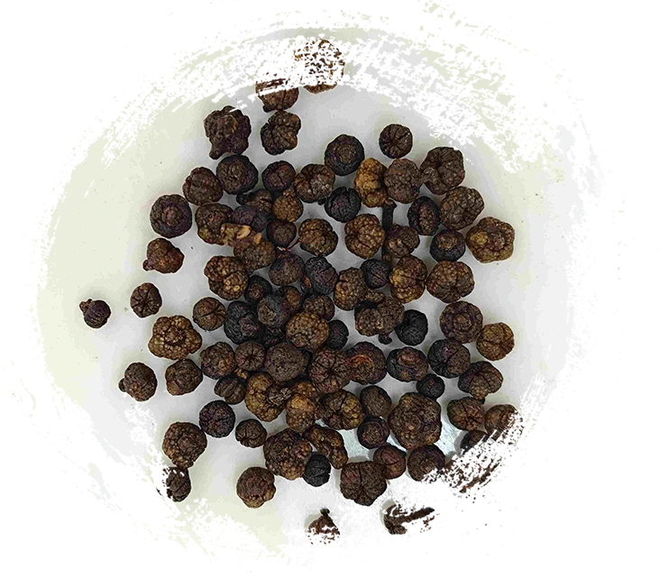 制吳茱萸（Zhìwúzhūyú）