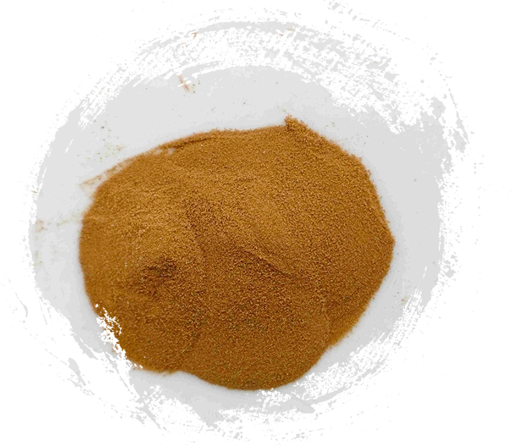 海金沙（hǎijīnshā）