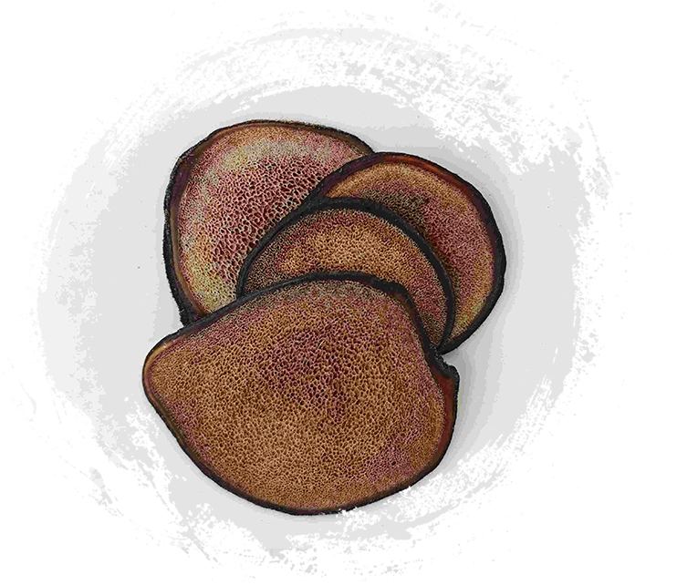 鹿茸片（lùróngpiàn）