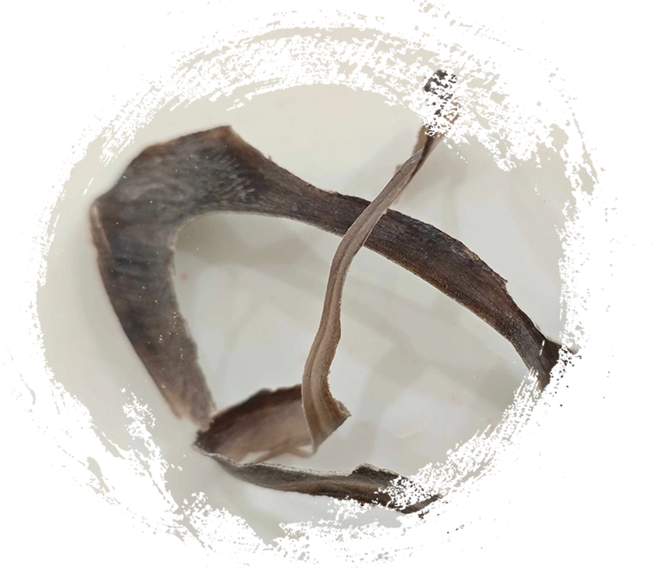 水牛角（shuǐniújiǎo）