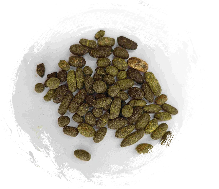 五靈脂（wǔlíngzhī）