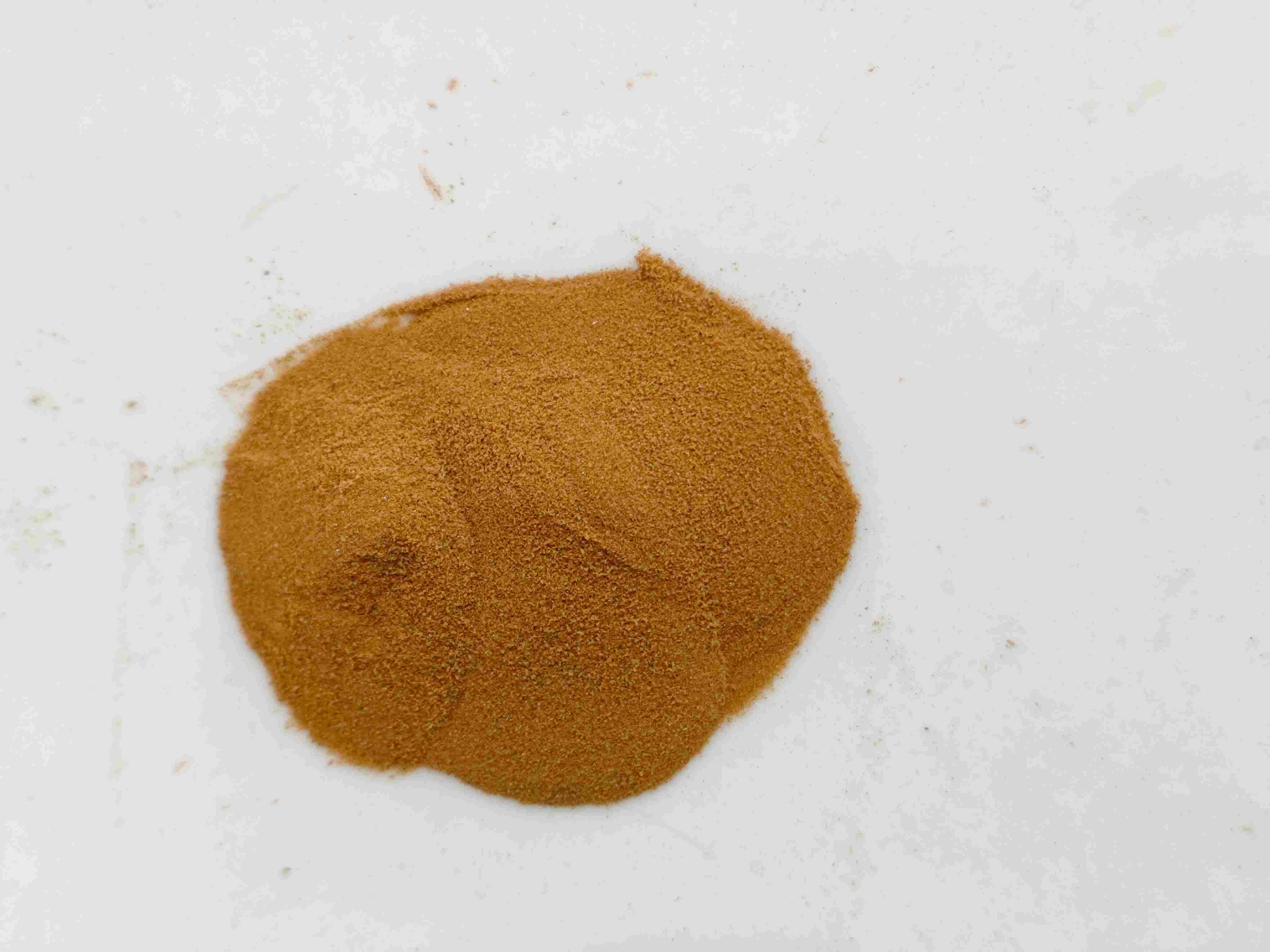 海金沙（hǎijīnshā）