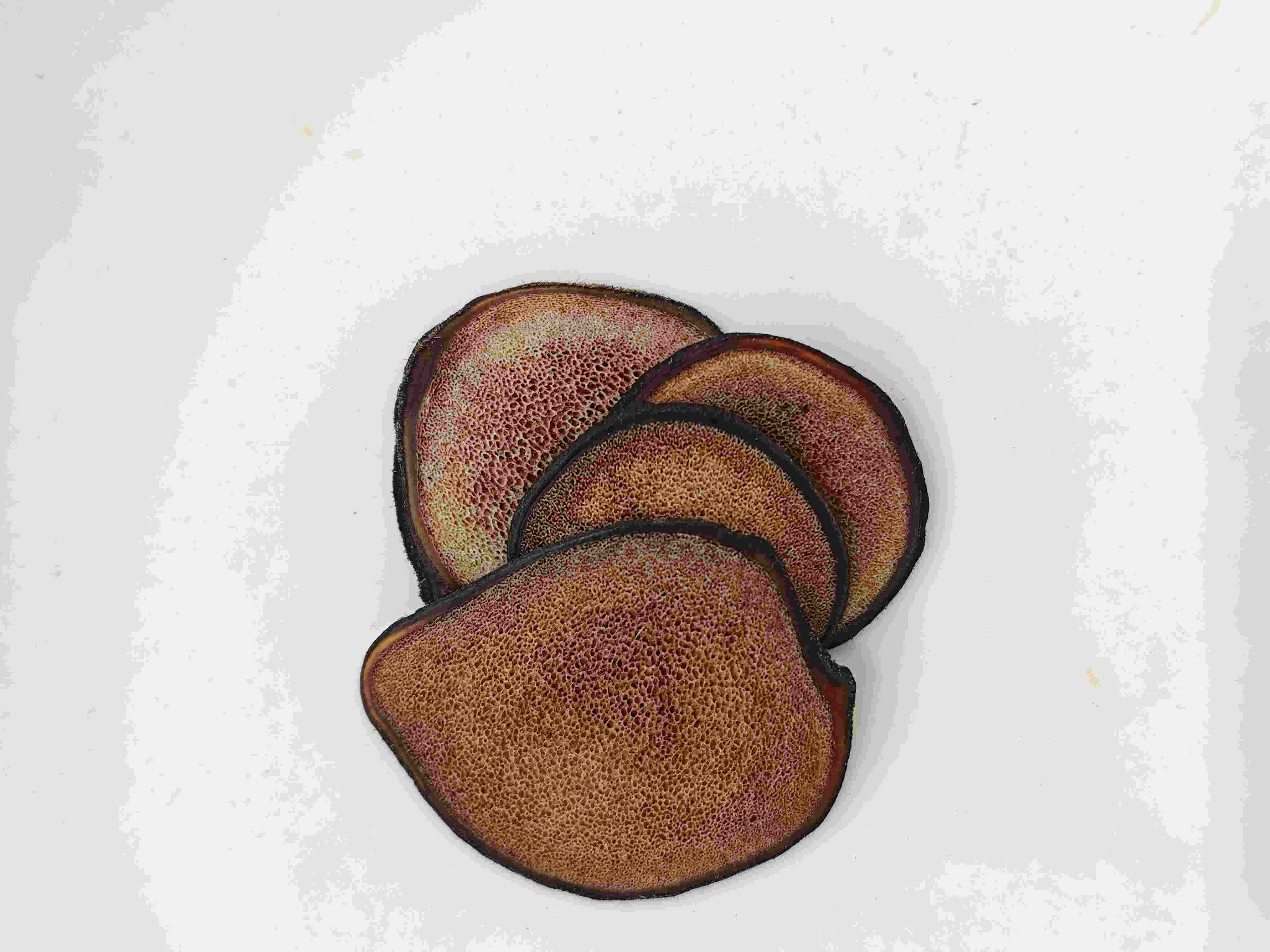 鹿茸片（l&ugrave;r&oacute;ngpi&agrave;n）