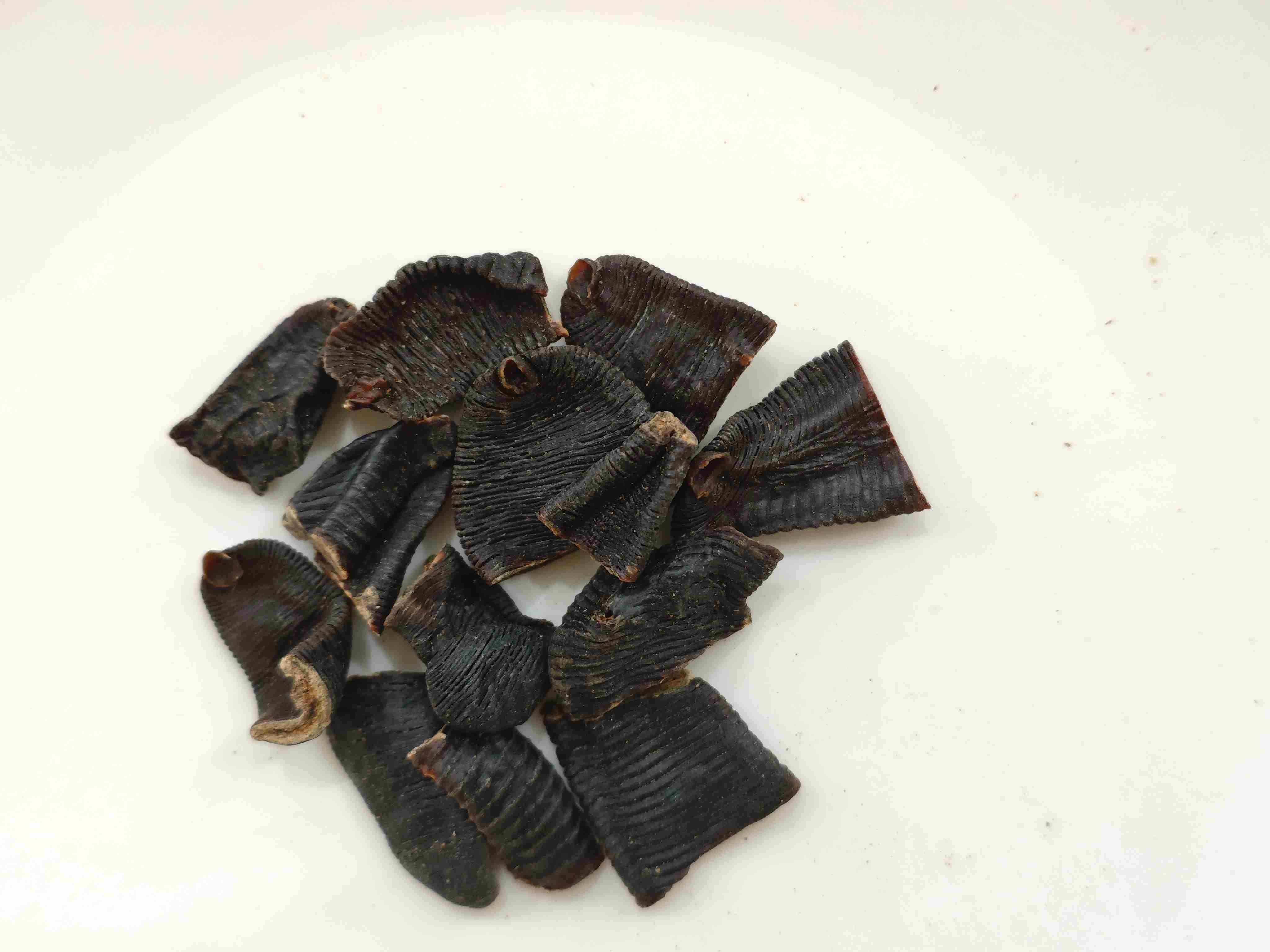 水蛭（shuǐzhì）