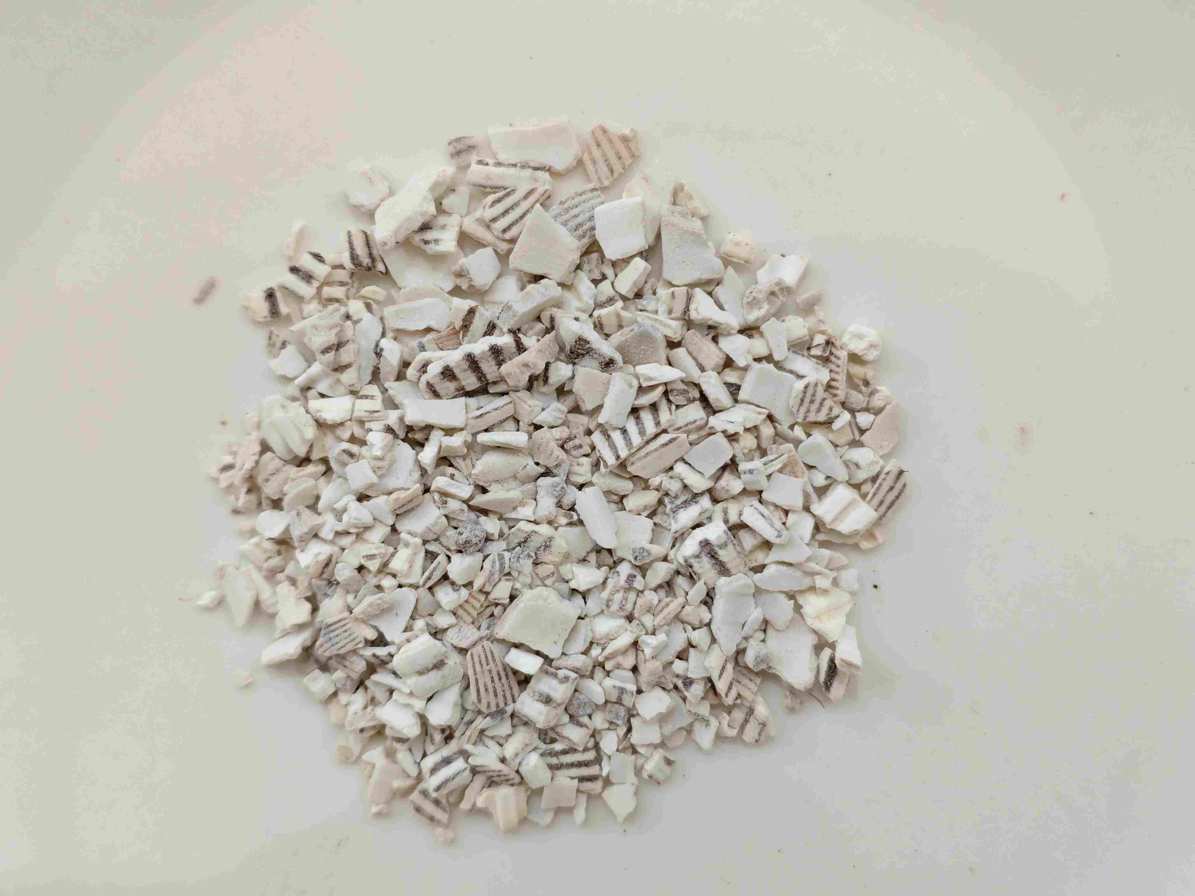 瓦楞子（wǎl&eacute;ngzǐ）