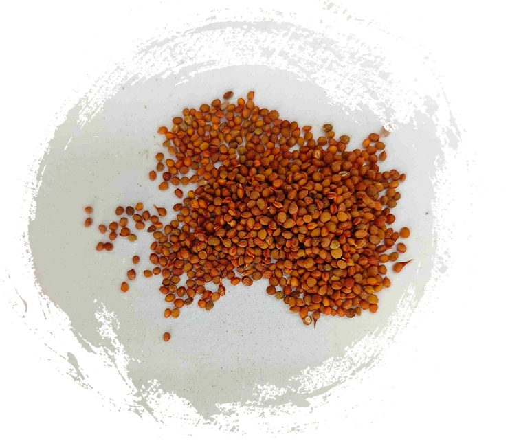 優質中藥礦物藥材應具備哪些特質？