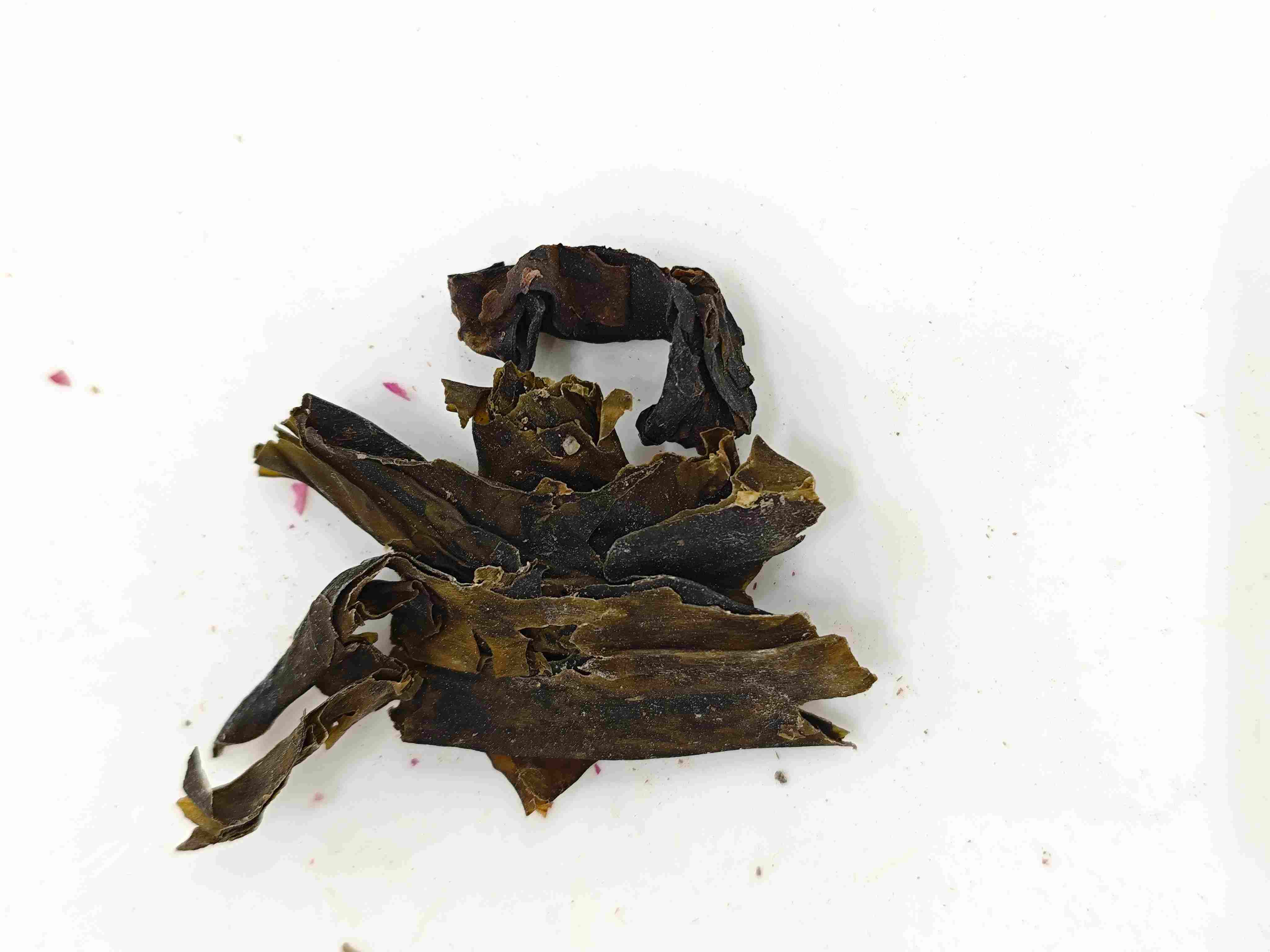 昆布（kūnb&ugrave;）