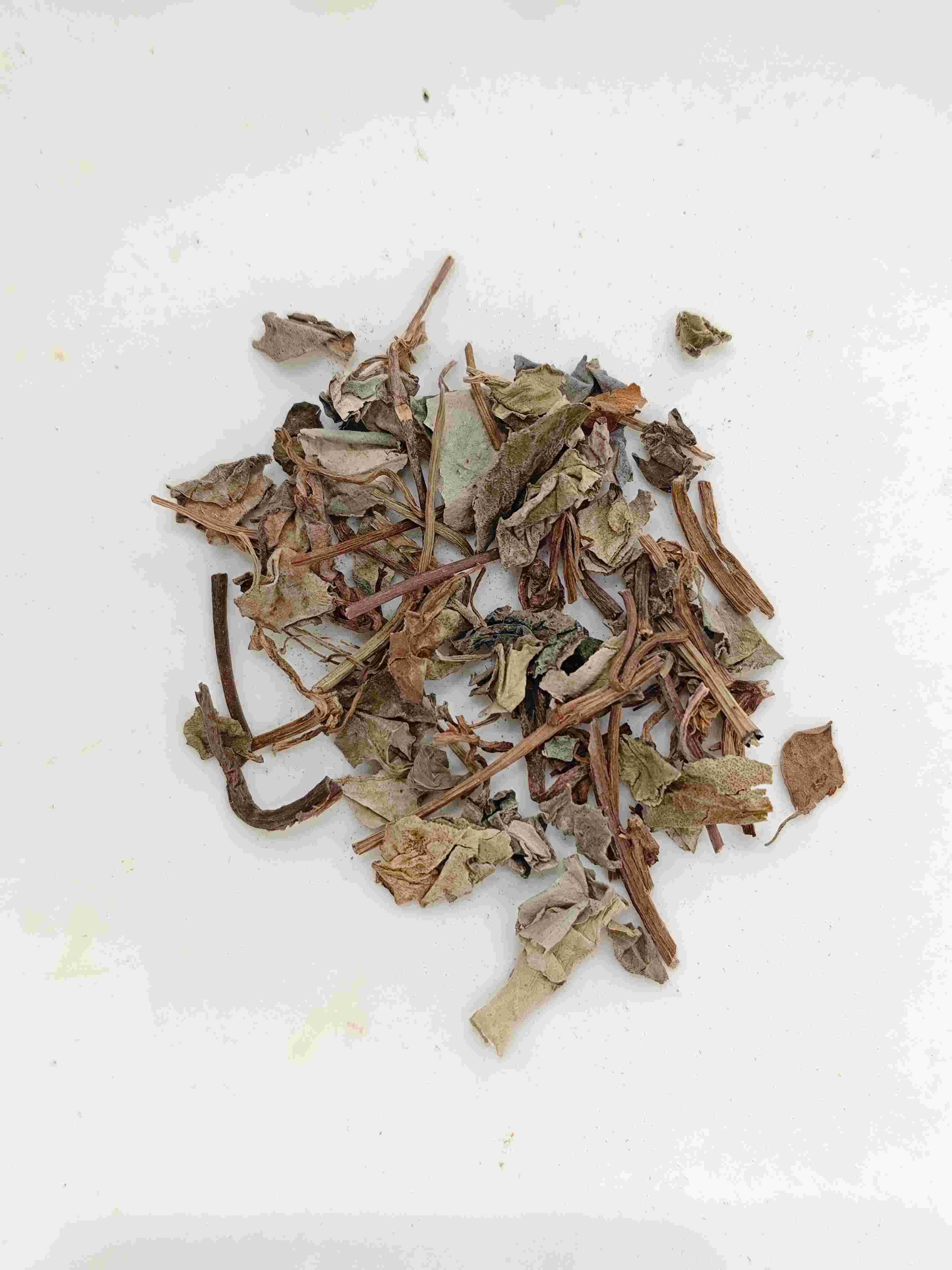 金錢草（Jīnqi&aacute;nCǎo）