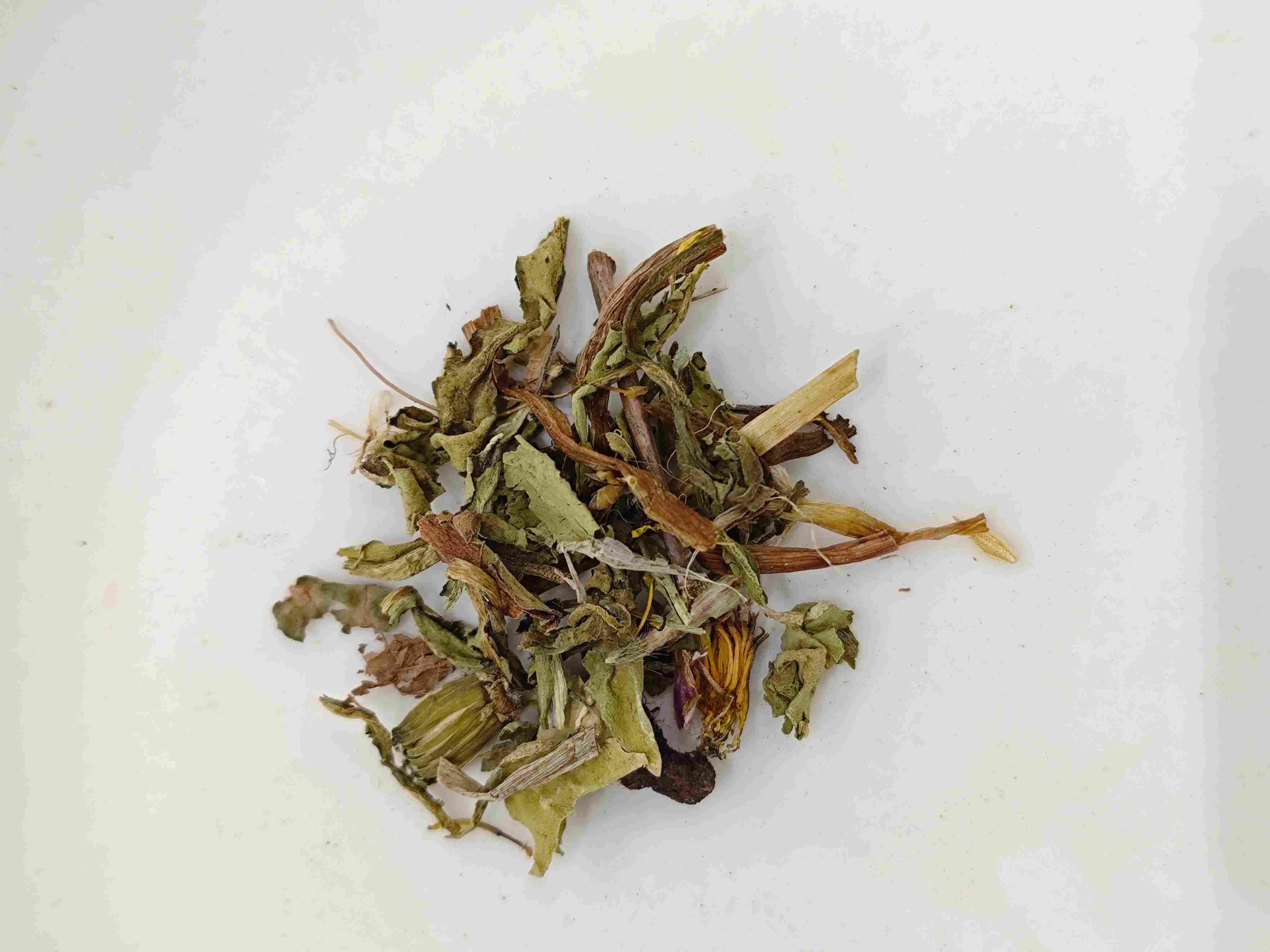 蒲公英（p&uacute;gōngyīng）