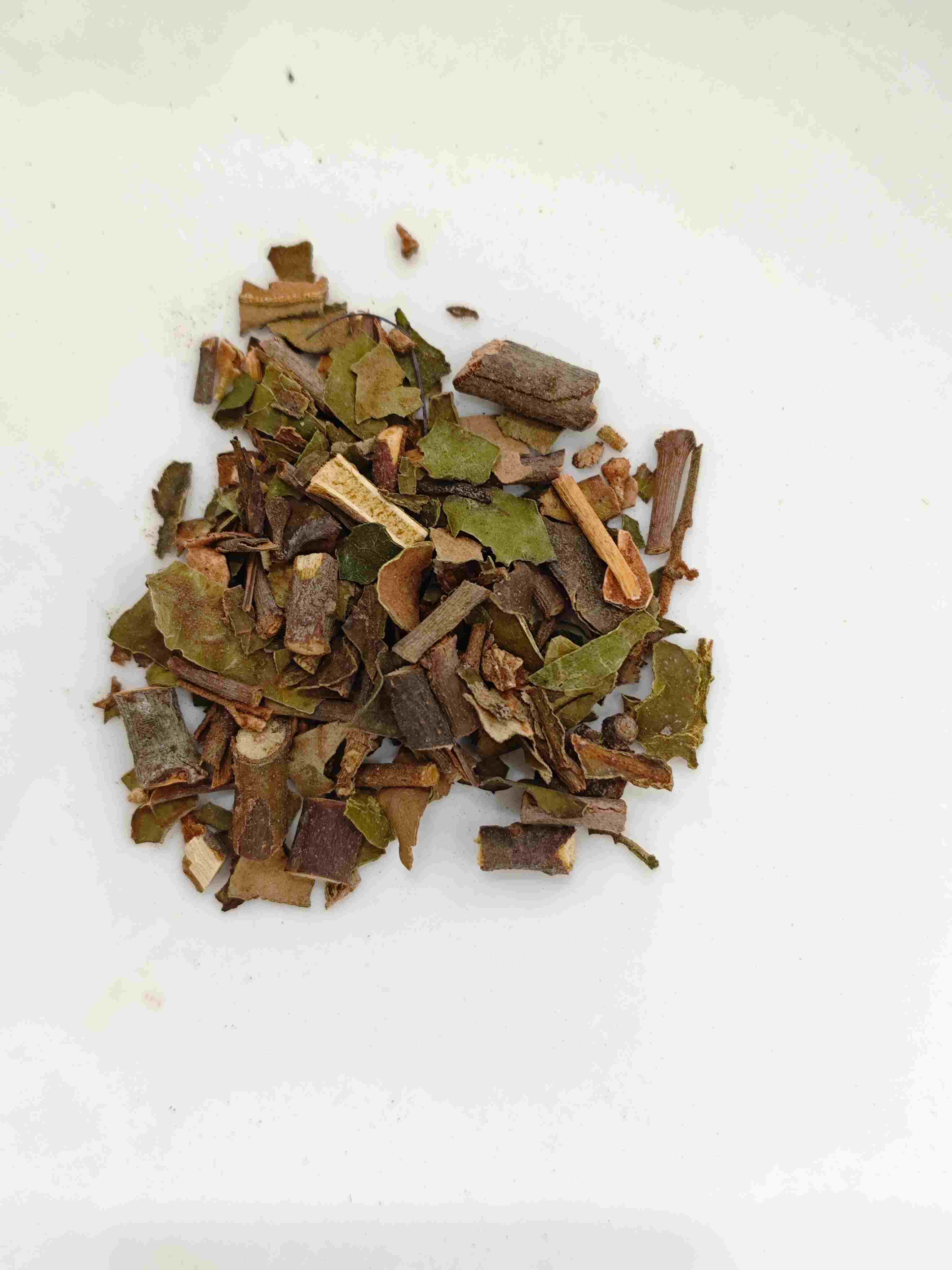 桑寄生（Sang Ji Sheng）