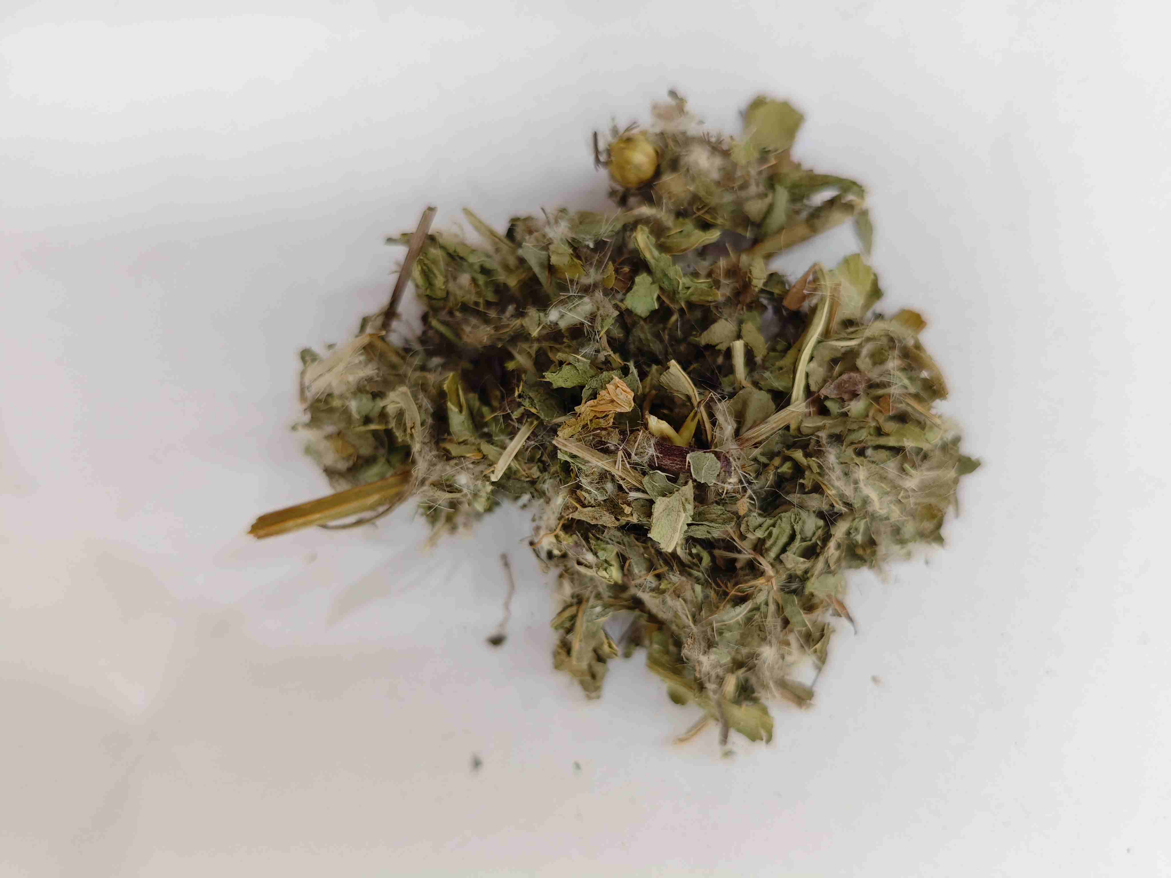 小薊（xiǎoJì）
