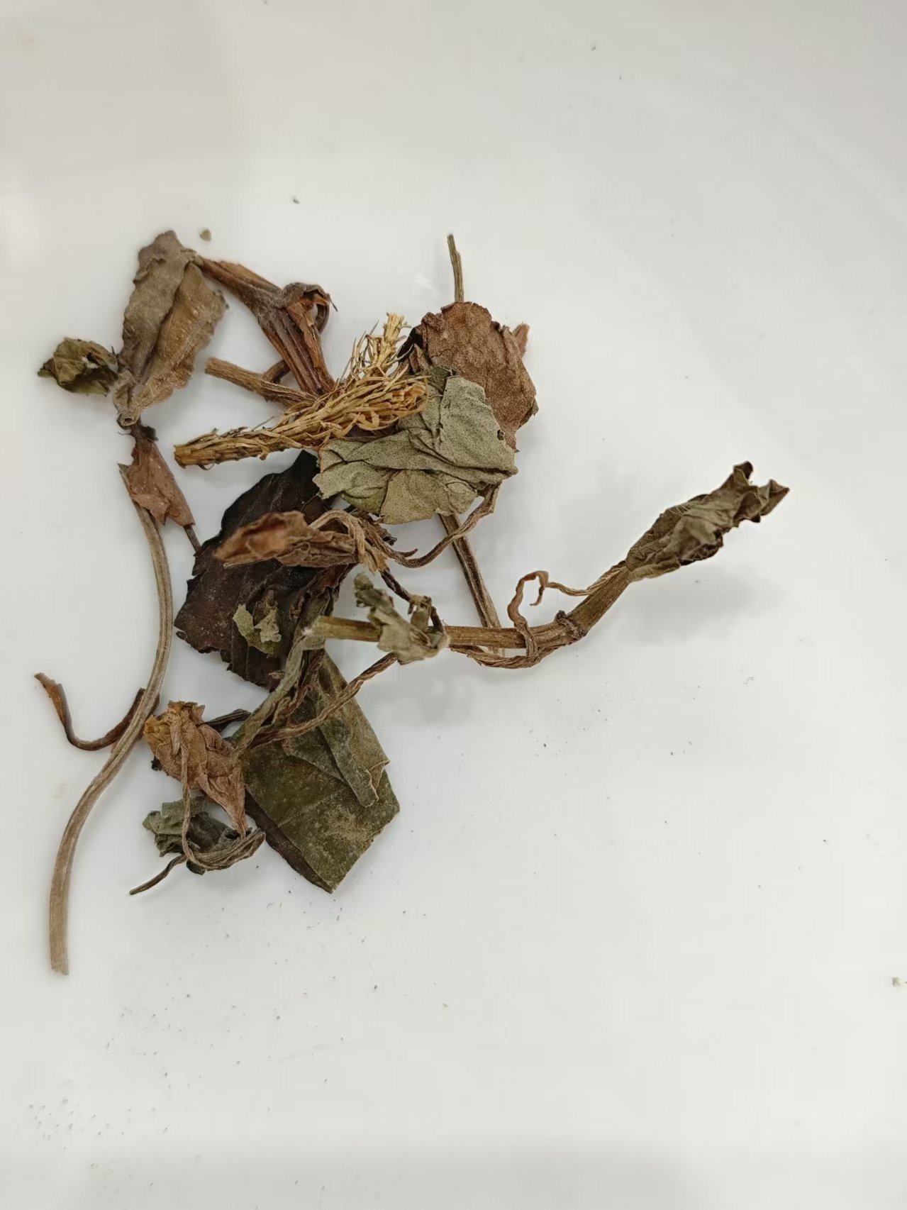 魚腥草（y&uacute;xīngcǎo）