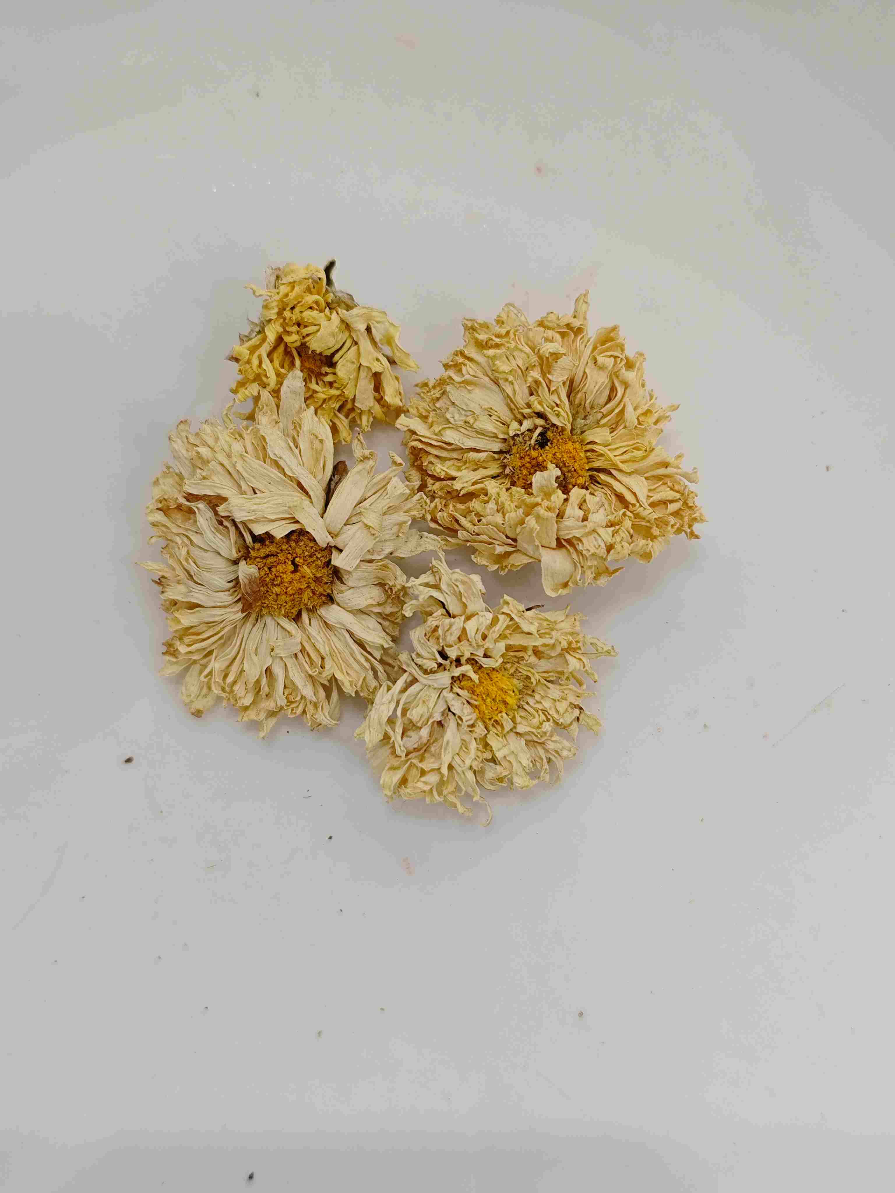 中醫植物療法背後的原理