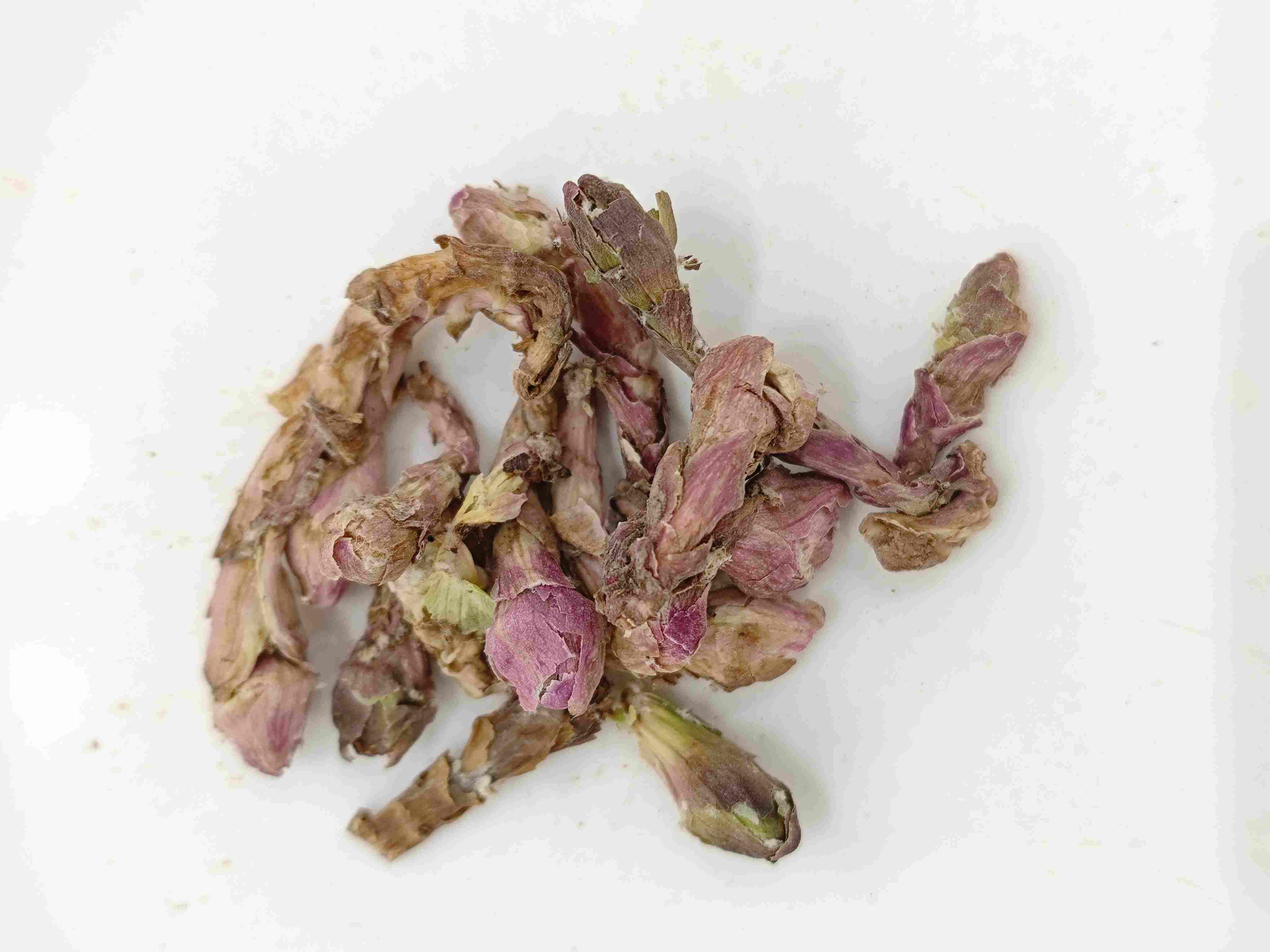 款冬花（kuǎndōnghuā）