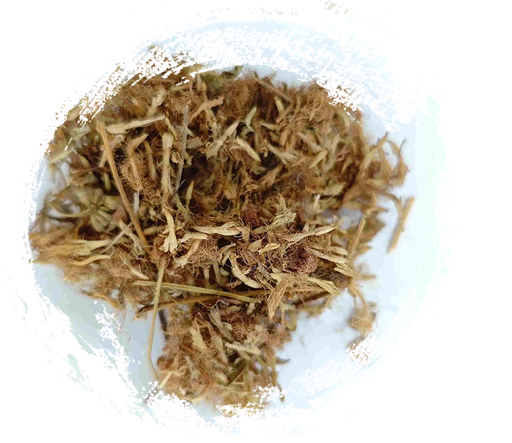 合歡花（H&eacute;huānhuā）