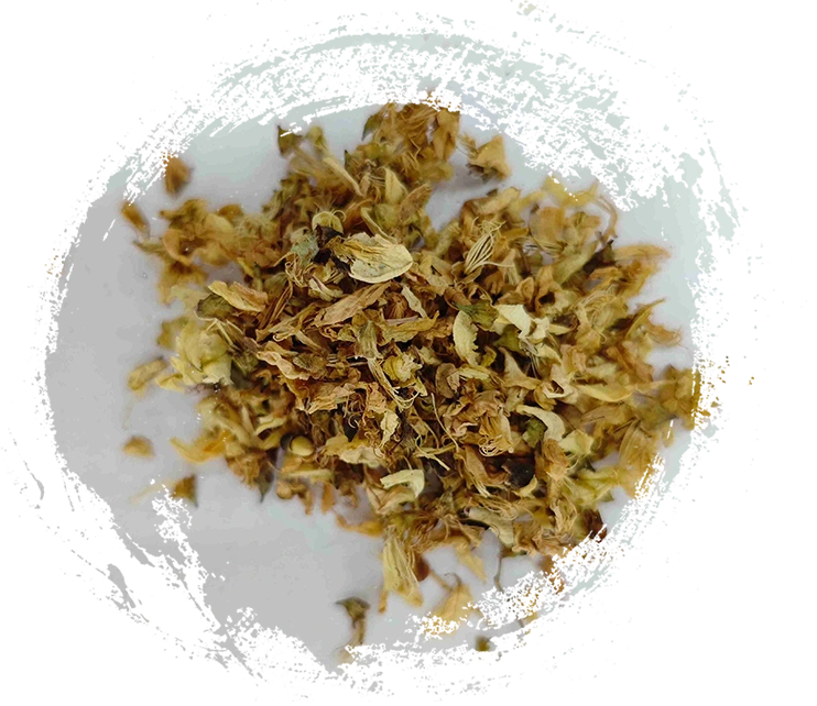 槐花（Hu&aacute;iHuā）