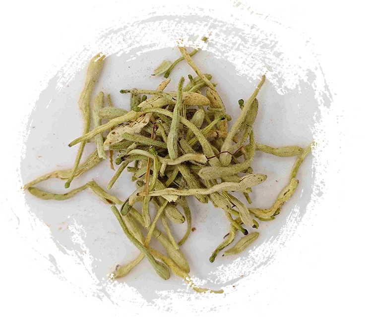 金銀花（jīnyínhuā）